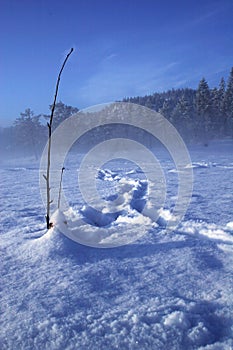 Ice fishing