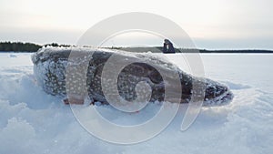 Ice fishing. North pike. during cold winter time. Selective focus