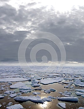 Ice floating in Arctic Sea