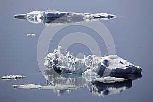 Ice floes