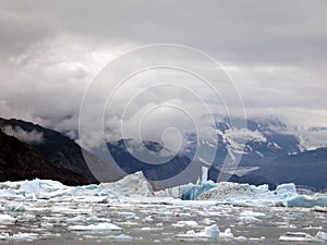 Ice floes from an arctic glacier.