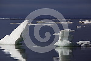 Ice floes in the Arctic Sea.