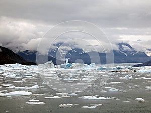 Ice floes from an artic glacier.