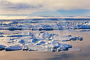 Ice floes at the edge of the Arctic pack ice