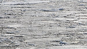 Ice floes float in the water