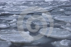 Ice floes floating in cold frozen sea water.
