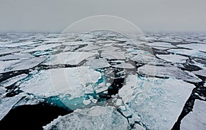 Ice floes are more numerous near the Arctic Circle