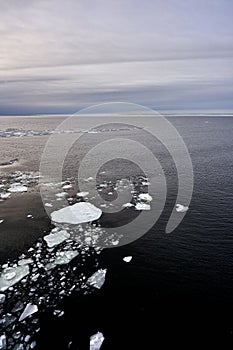 ice floes on the sea with an ice floe in the background