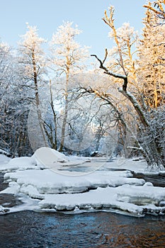 Ice floes and snow in the river