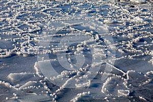 Ice floes in the water