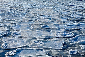 Ice floes in the water