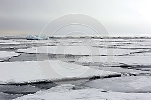 Ice-floes and Water, Arctic Landscape