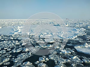 Ice floes on the winter Barents Sea horizon and blue sky. Russia.