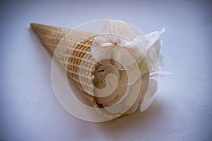 Ice flower. Wedding composition