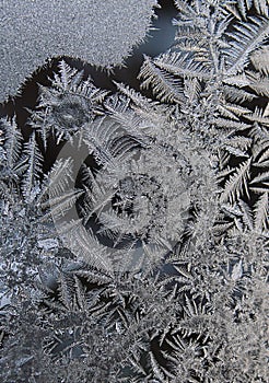 Ice flowers - frost pattern
