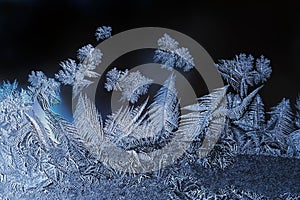 Ice flowers frozen blue window textured background.