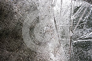 Ice flowers frozen blue window textured background. macro view photography frost pattern. cold winter weather xmas.