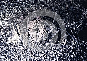 Ice flowers frozen on window. Winter cold textured pattern. Macro view. Frost crystal.