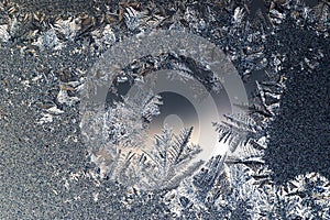 Ice flowers on glass