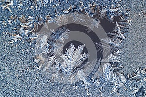 Ice flowers on glass