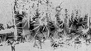 Ice flowers on glass