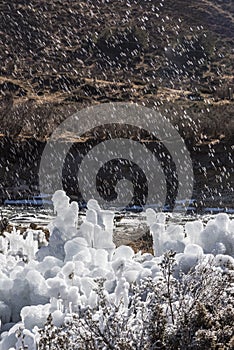 Ice flowers