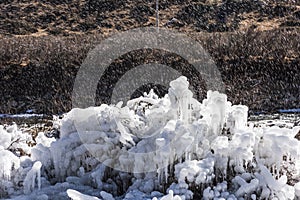 Ice flowers