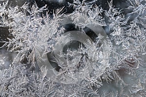 ice flowers window freezing winter subzero temperatures