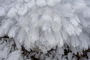 Ice flowers in winter time, white frost close up detail , nature in the winter