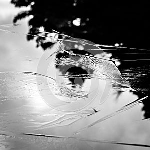 Ice formation on a lac surface, Aviemore, Scotland, United Kingdom