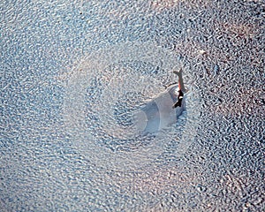 Ice forming on water
