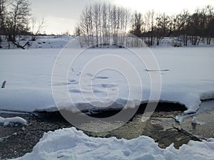 Ice-free little river in winter against small grove. Stream of river water. The snow cover. Beautiful photowall-paper