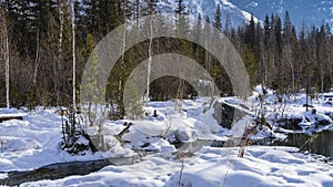 An ice-free stream flows in a winter forest.