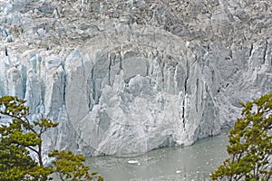 Ice Front of a Tidewater Glacier photo