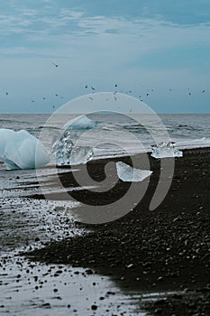 Ice glacier chunks washed ashore on Diamond Beach in Southern Iceland