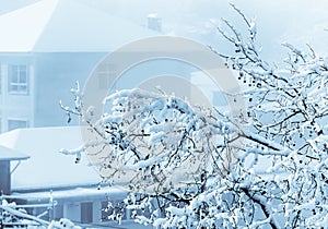 Ice glaze-Snow scene in Mount Lu