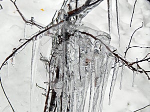 Ice hanging on the branches of trees