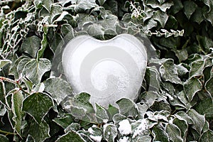 Ice heart in the ivy