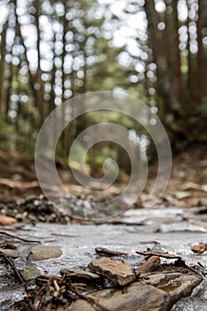 Ice on High Mountain Trail