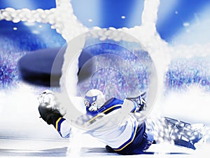 Ice hockey goal