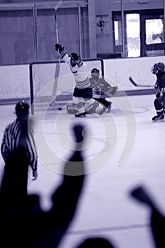 Ice Hockey goal blur