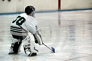 Ice hockey goalie