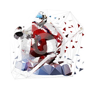 Ice hockey goalie, isolated low polygonal vector illustration
