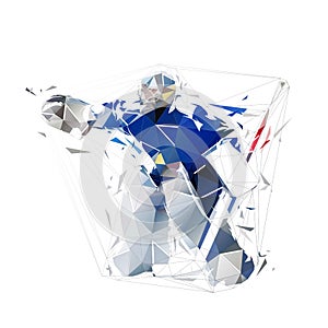 Ice hockey goalie, isolated low polygonal vector illustration. Goalkeeper, ice hockey logo, geometric drawing from triangles