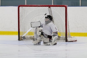 Ice hockey goaltender in front of net photo