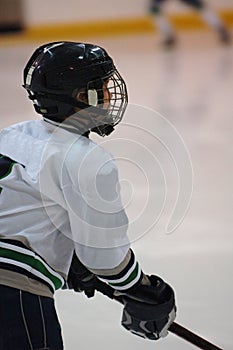 Ice hockey player profile