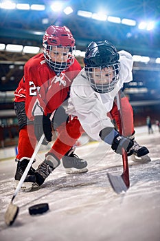 Ice hockey player in sport action on the ice