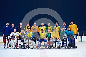 Ice hockey players team portrait