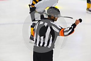 Ice Hockey Referee