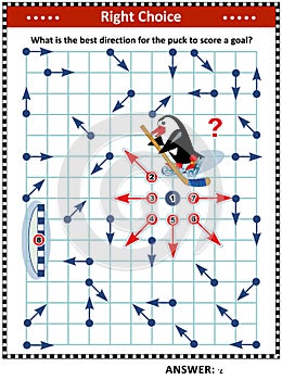Ice hockey visual puzzle